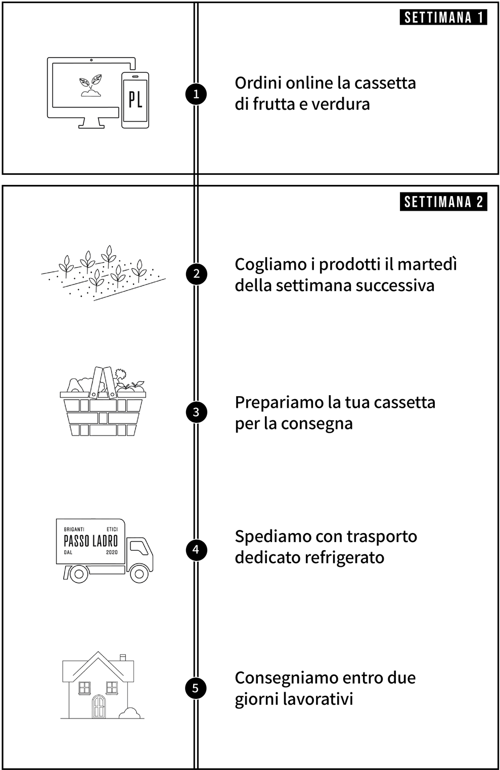 Infografica del processo di consegna delle cassette di frutta e verdura Bio