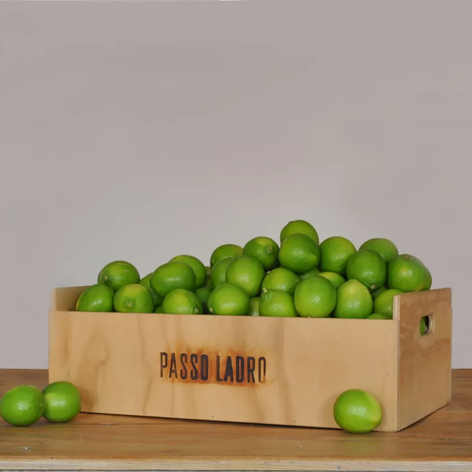 Lime siciliani bio