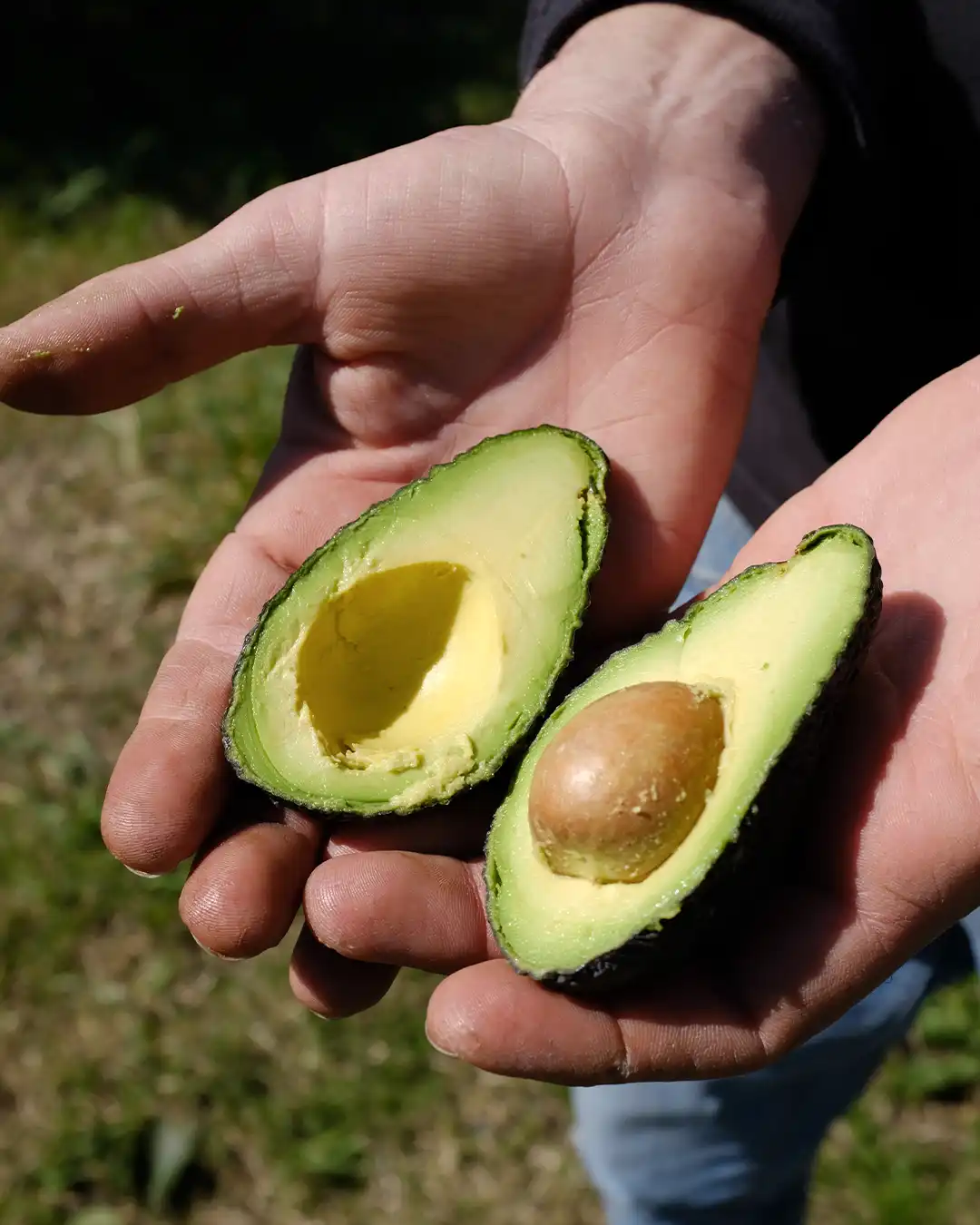 Foto4 Ristoranti (1)