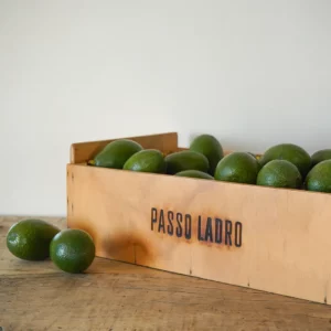 Cassetta Avocado Bacon