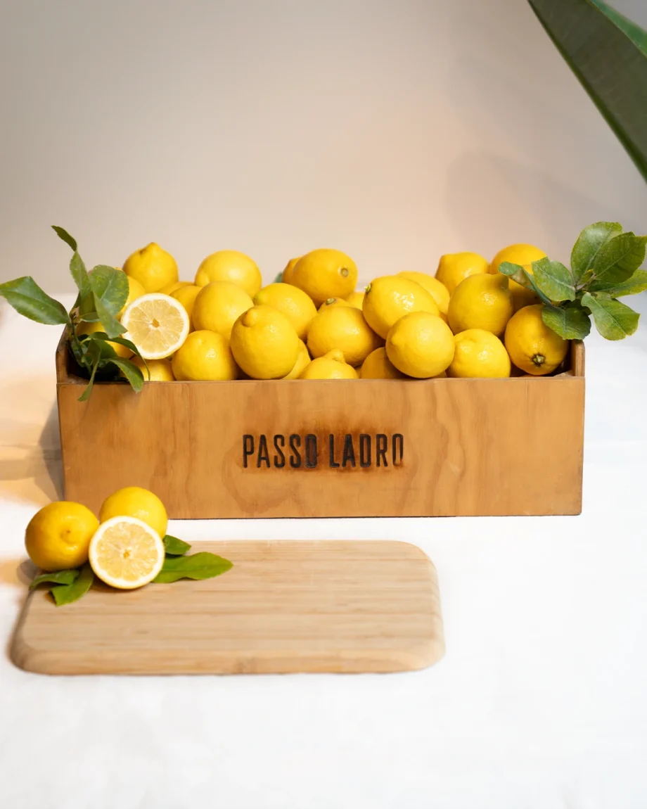 Cassetta limoni Bio