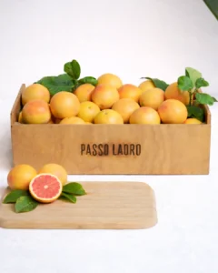 Pompelmo_Bio_Copertina