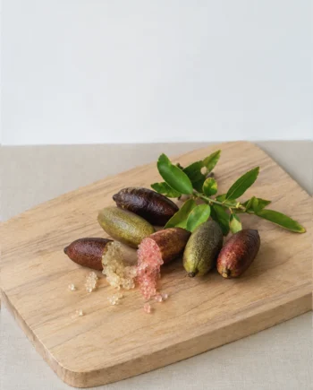CavialediLimone BIo Siciliano
